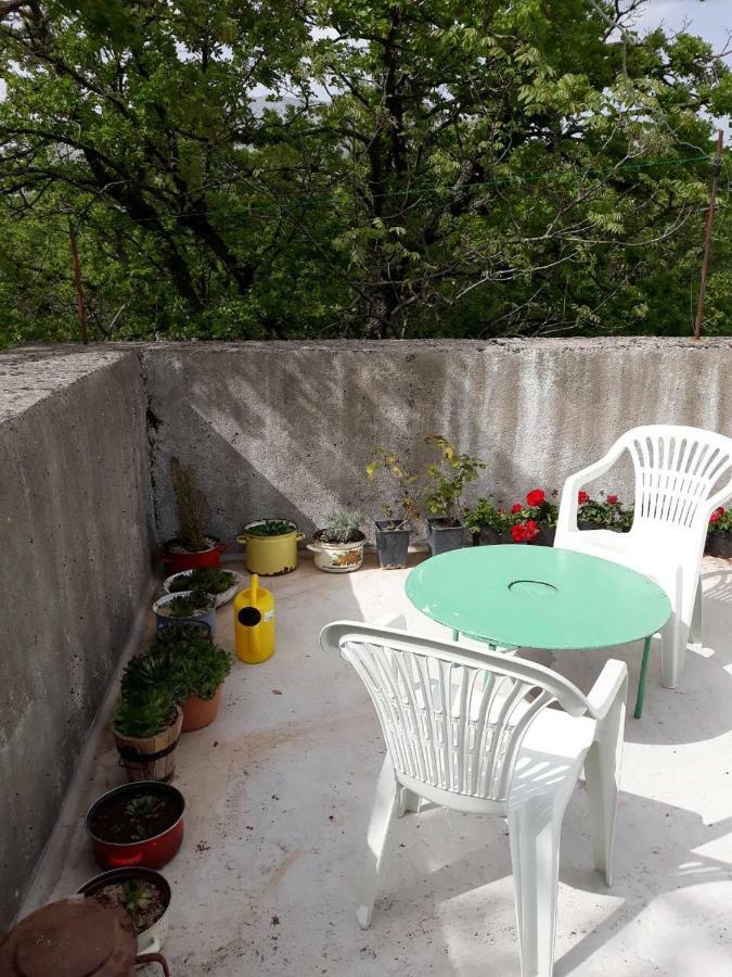 Apartman Milica Golubic  Esterno foto