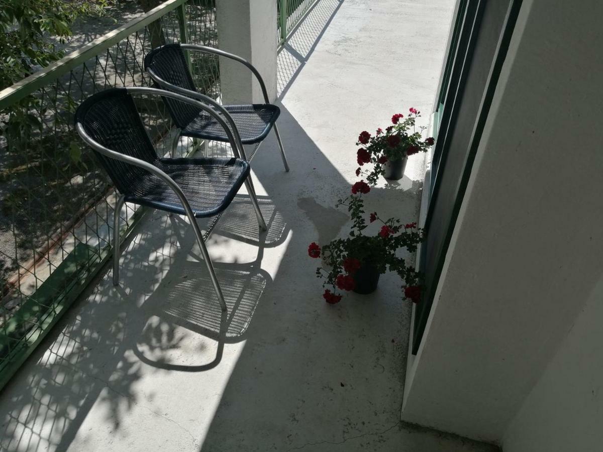 Apartman Milica Golubic  Esterno foto